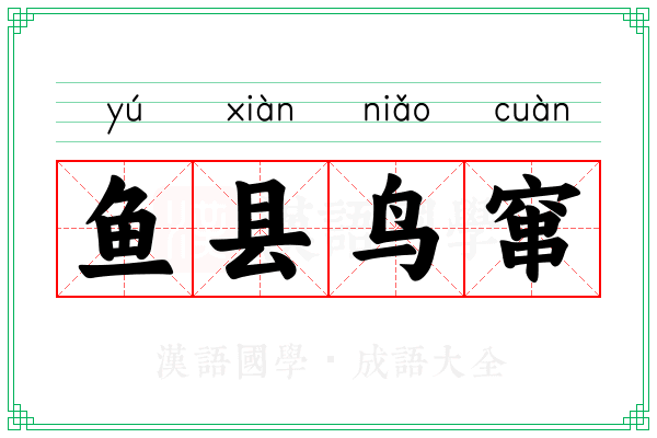 鱼县鸟窜