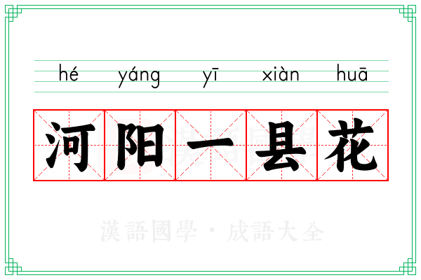 河阳一县花