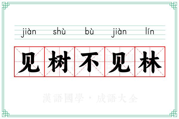 见树不见林