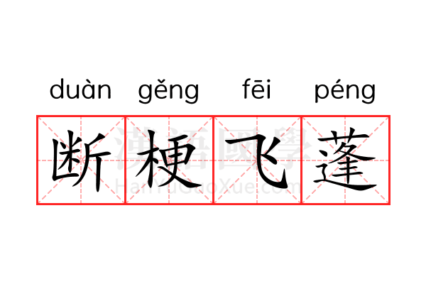 断梗飞蓬