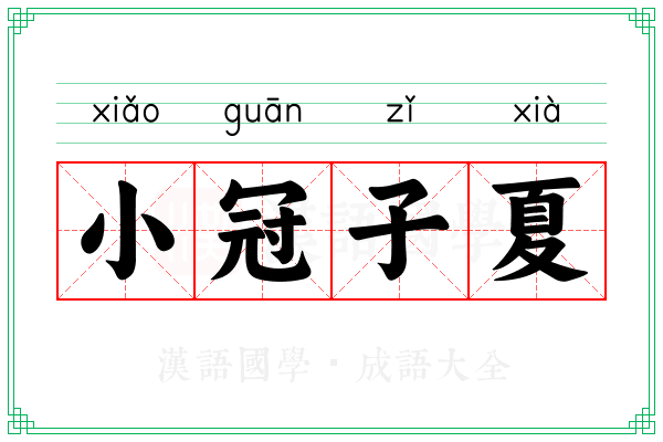 小冠子夏