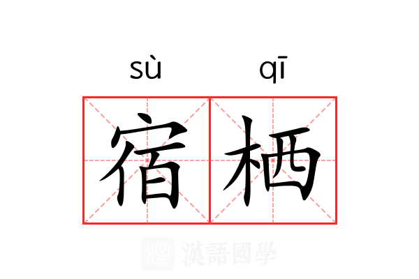 宿栖