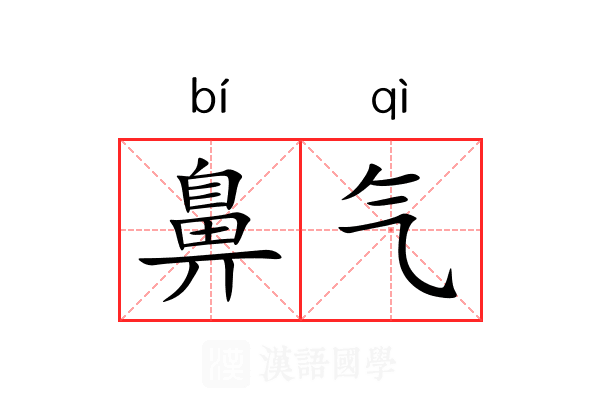 鼻气