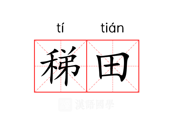 稊田