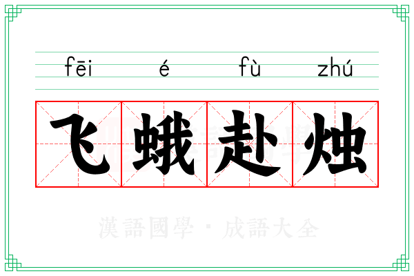 飞蛾赴烛