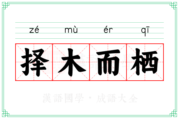 择木而栖