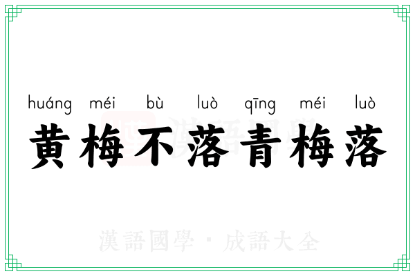 黄梅不落青梅落