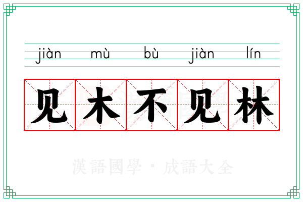 见木不见林