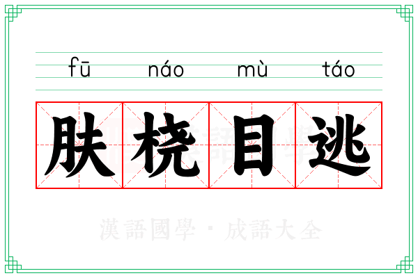 肤桡目逃