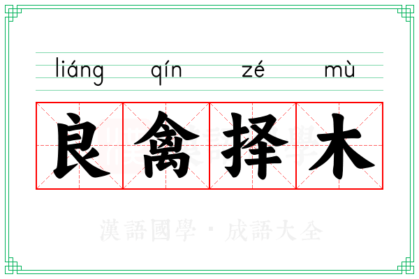 良禽择木