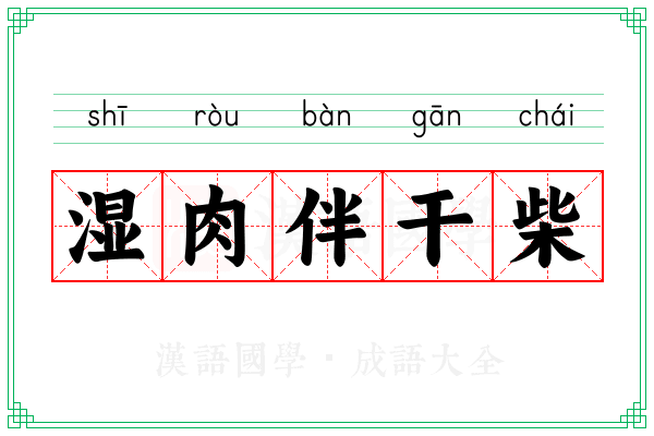 湿肉伴干柴