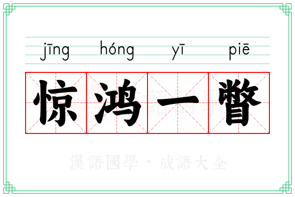 惊鸿一瞥