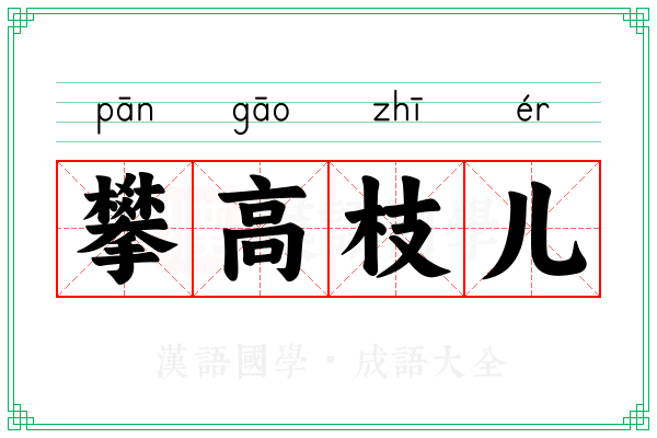 攀高枝儿