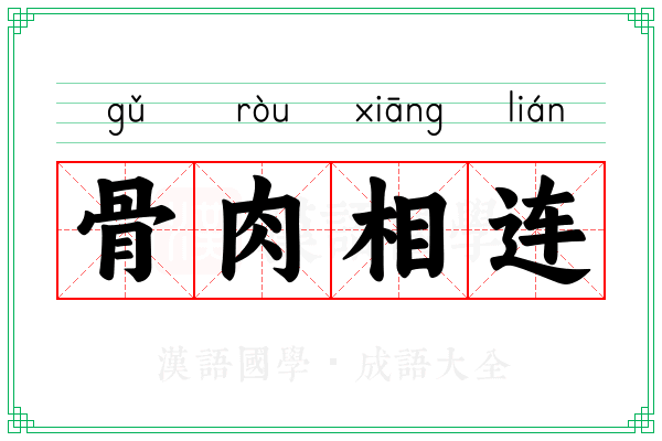 骨肉相连