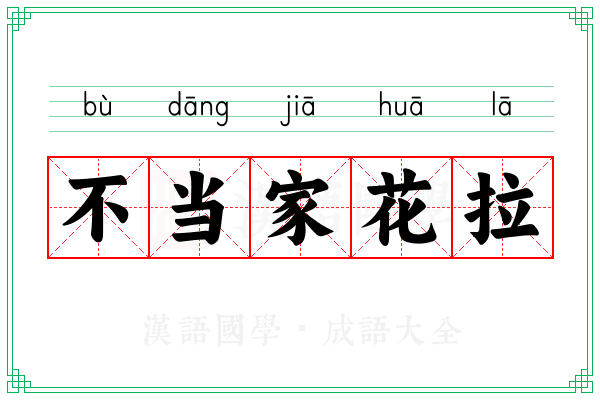 不当家花拉