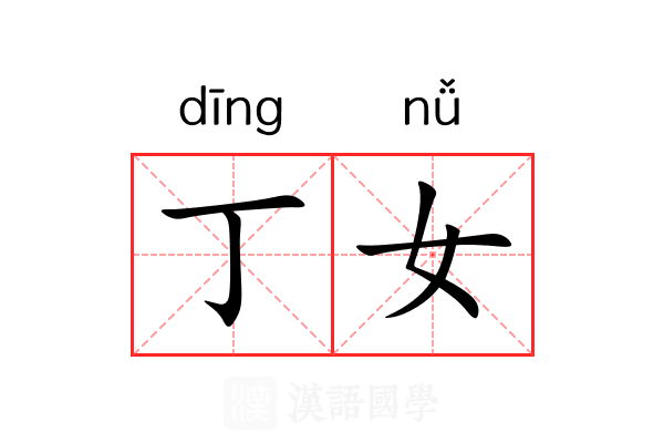 丁女