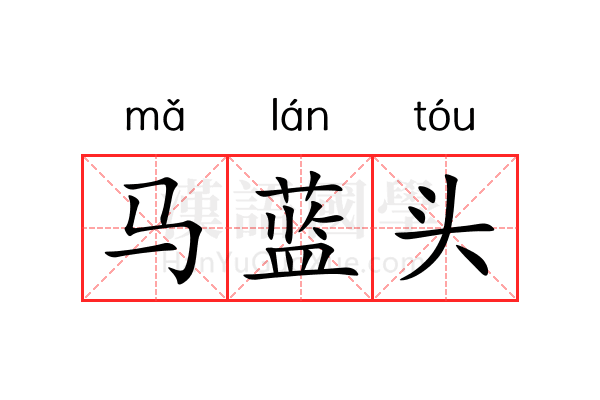 马蓝头 马蓝头