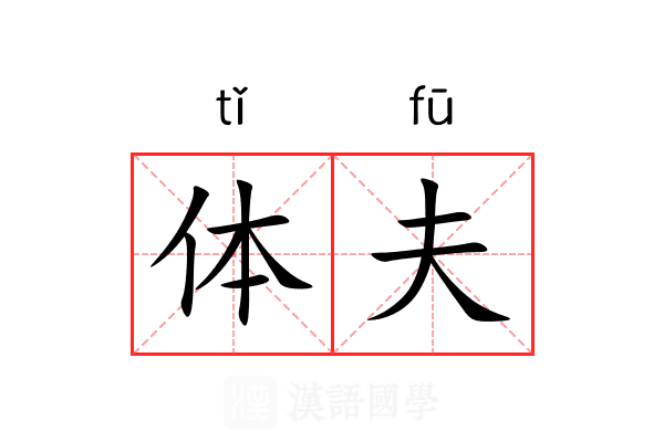 体夫