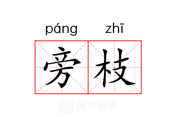 旁枝
