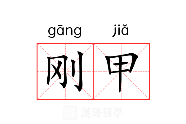 刚甲 刚甲