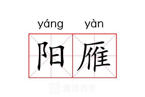阳雁