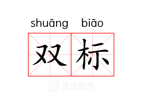 双标