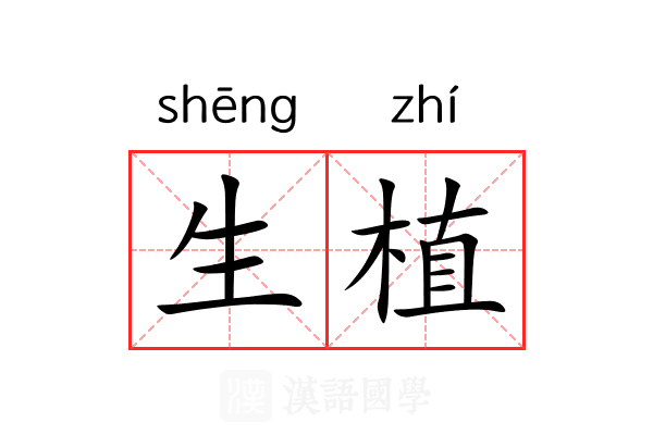 生植 生植
